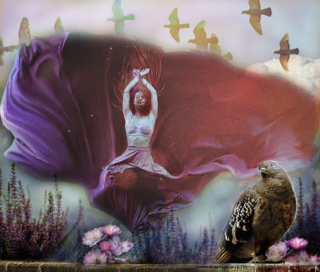 富的赛场经 富的赛场经